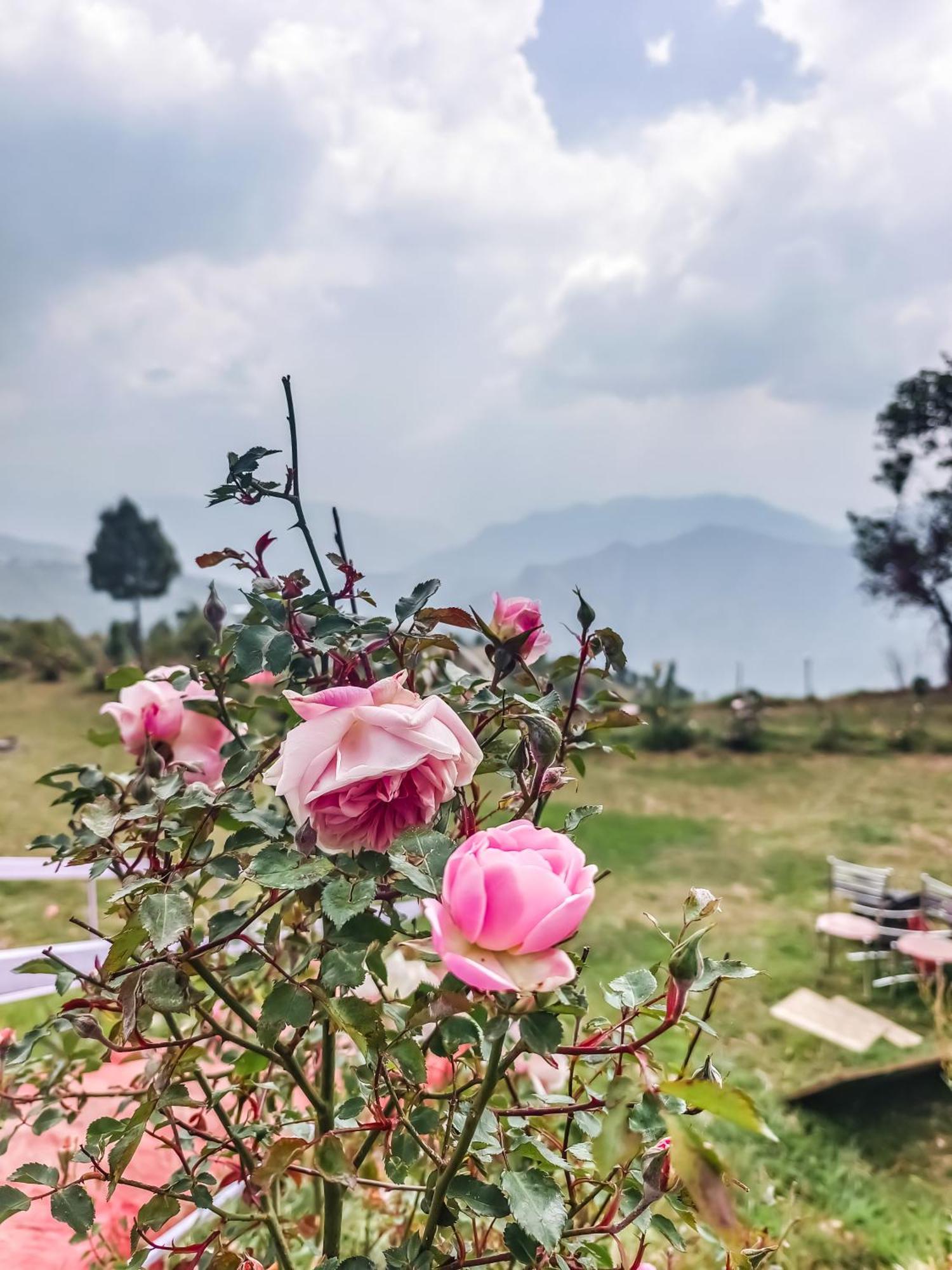 Haut Monde King'S Paradise Resort Kanatal Exterior foto